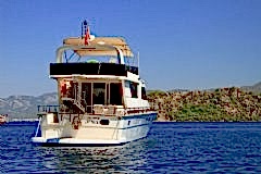 No More Stress resimleri